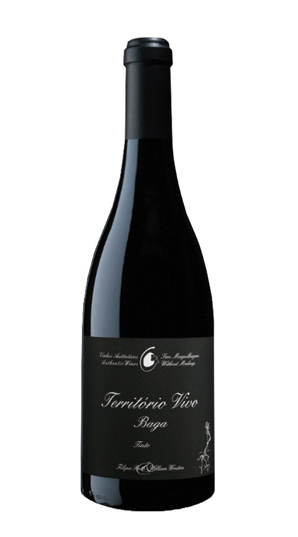 'Territorio Vivo' Filipa Pato 2016