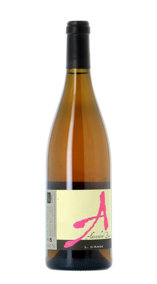 L. D'Ange 22' Alexandre Bain