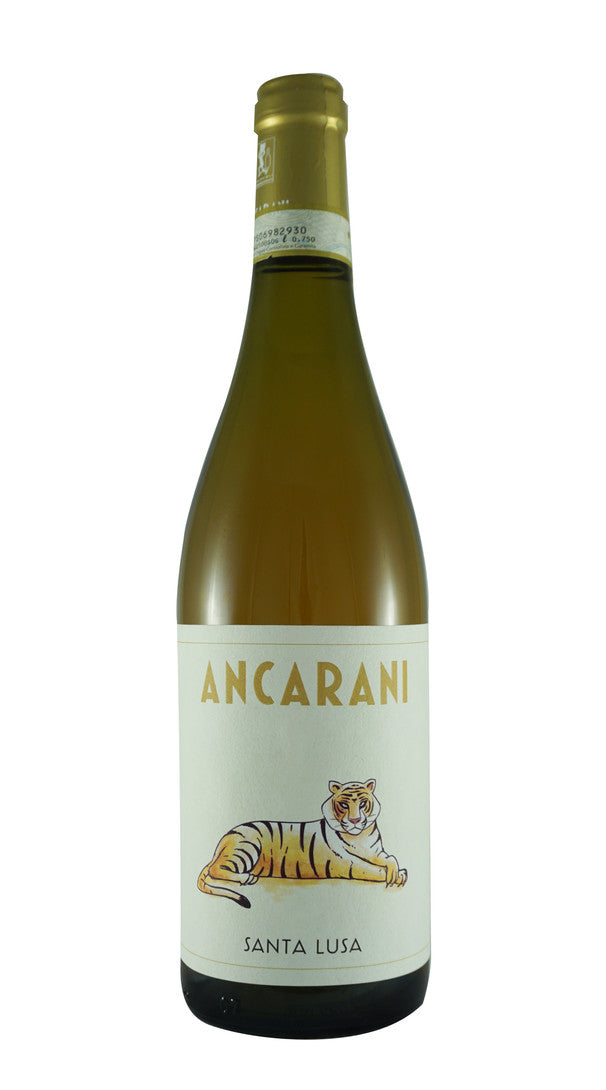 Albana Secco 'Santa Lusa' Ancarani 2020
