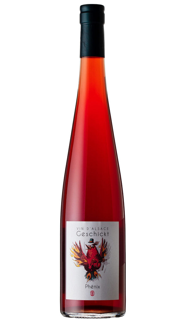 Pinot Gris 'Phenix' Geschickt 2020