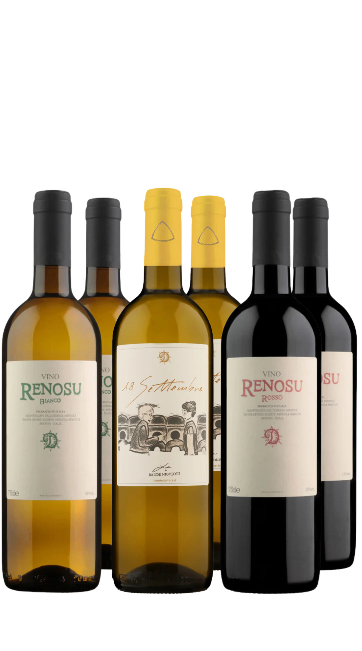 Wine Box Dettori (6bt)
