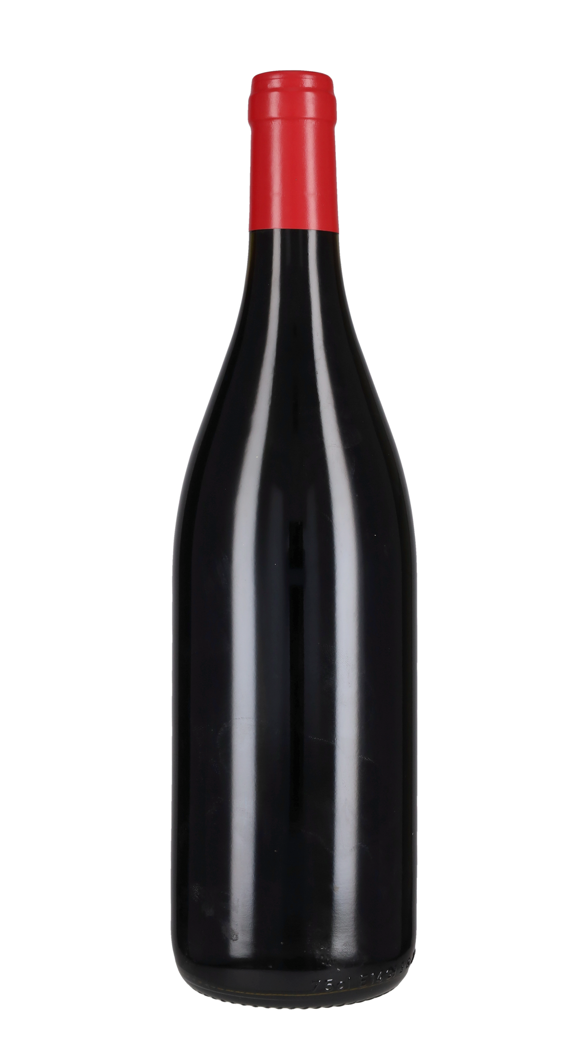 Abrostine 'Sorte Sempremai' Cuna - Federico Staderini 2019