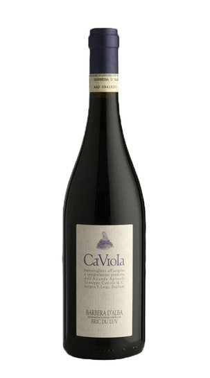 Barbera d'Alba 'Bric du Luv' Ca' Viola 2016