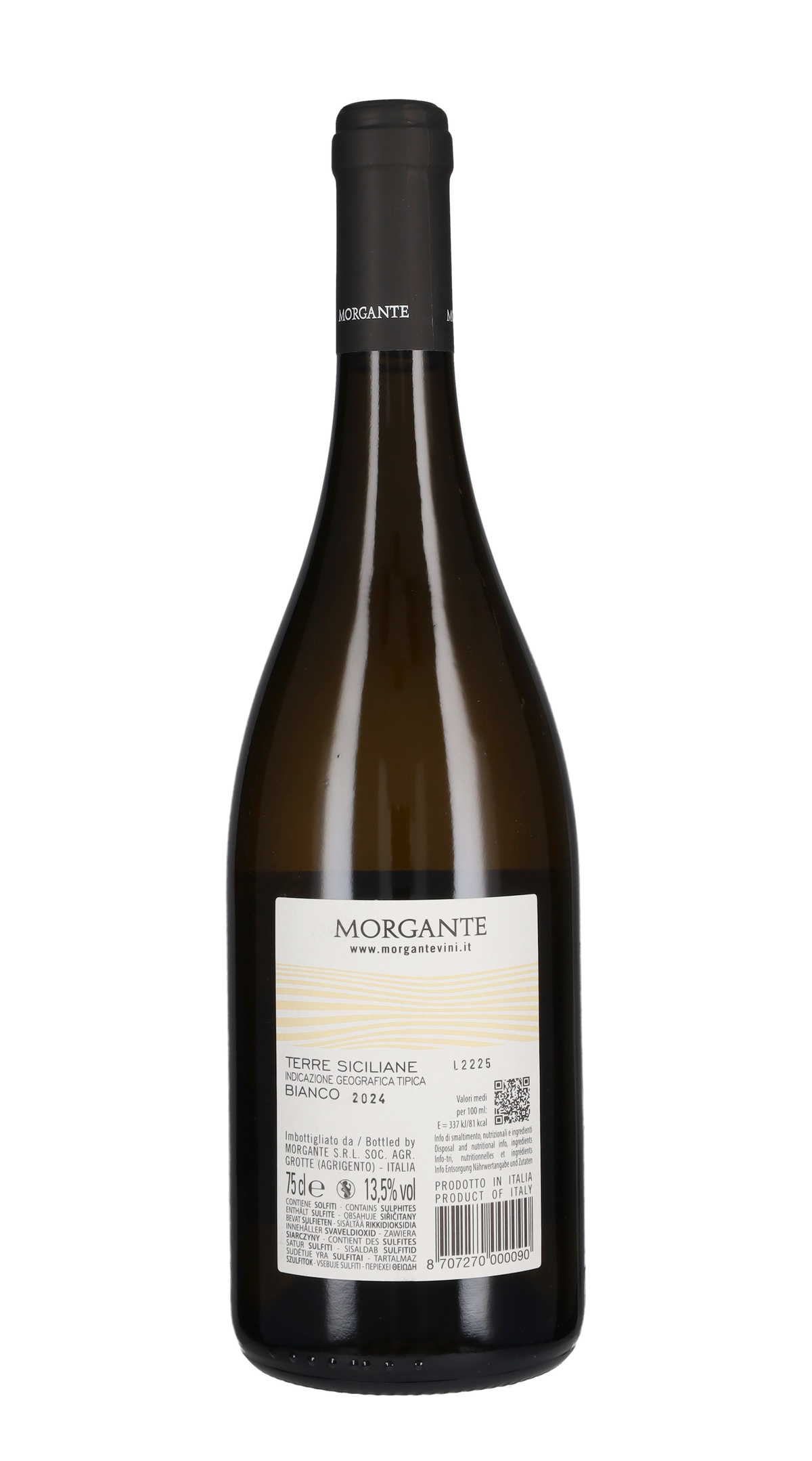 Bianco di Morgante 2024