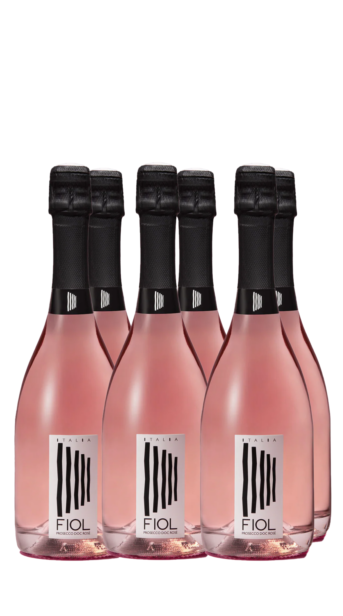 Wine Box Prosecco Rosé Fiol (6bt)