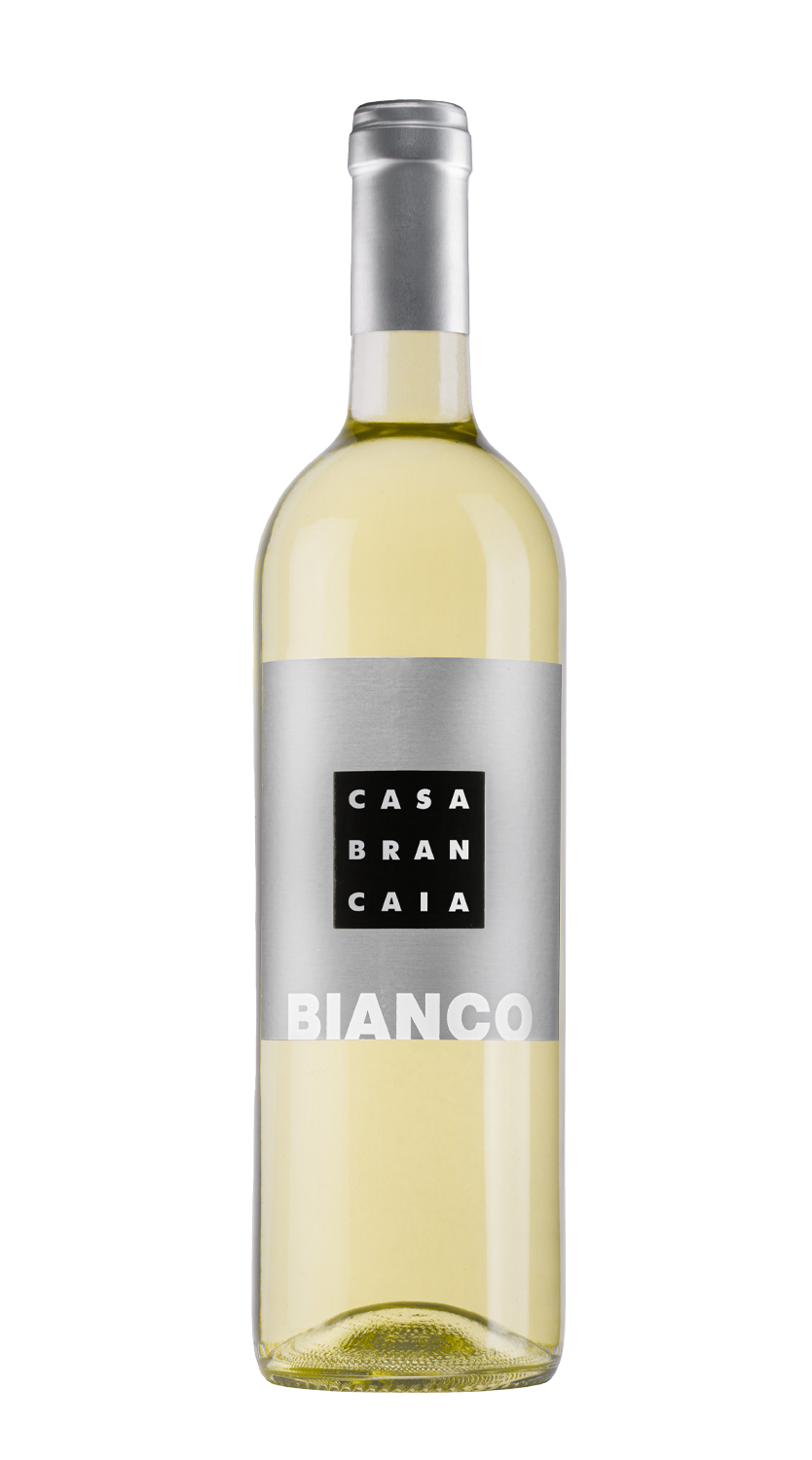 Il Bianco Brancaia 2023
