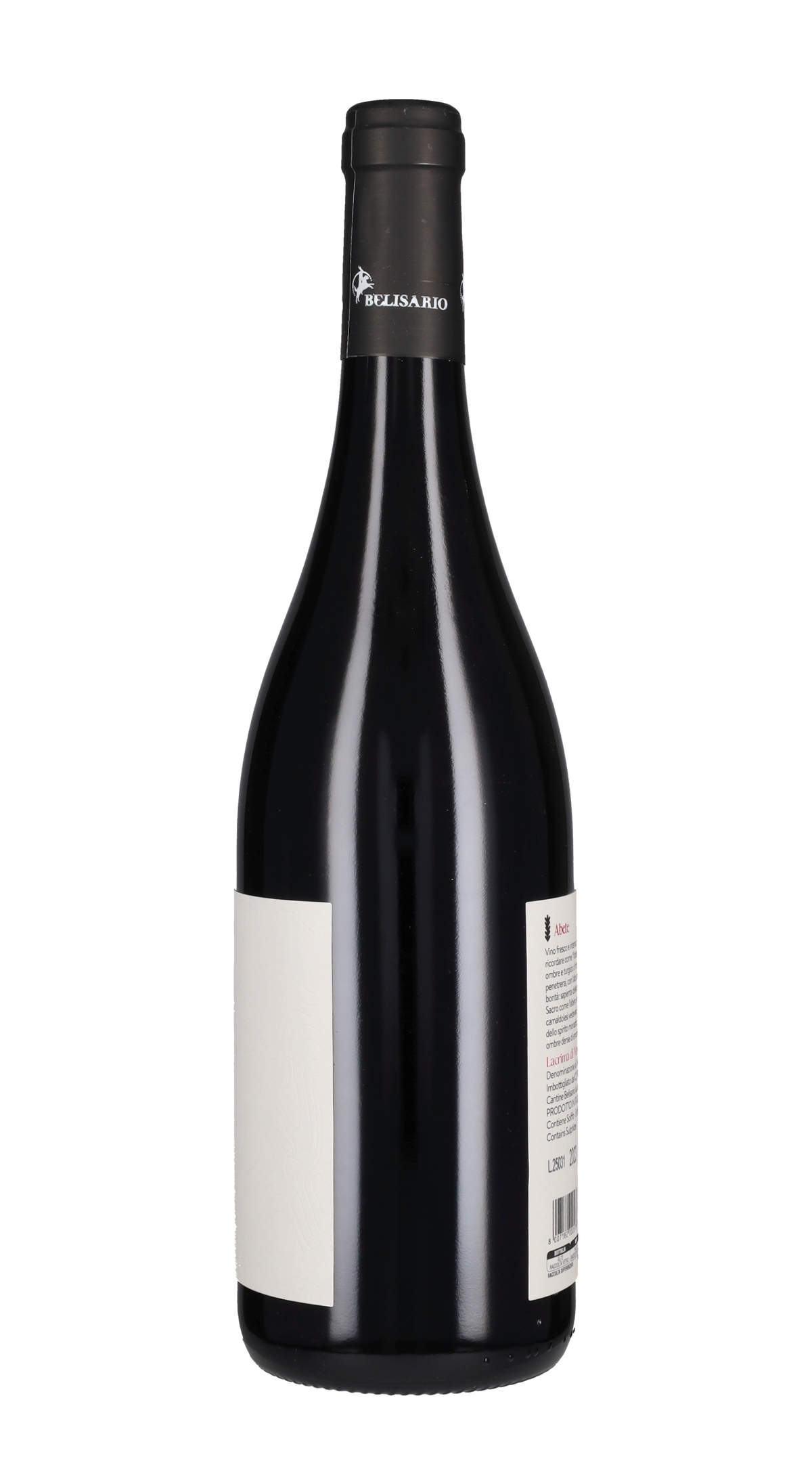 Lacrima di Morro d'Alba Belisario 2023