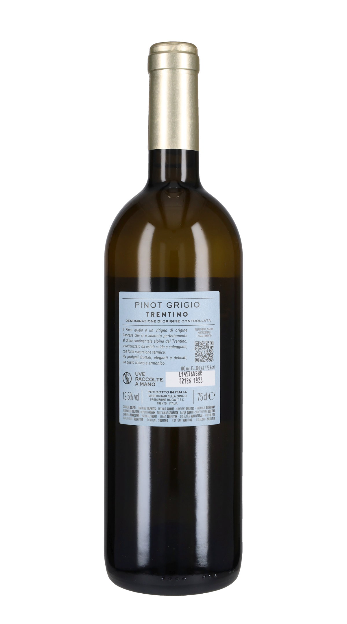 Pinot Grigio 'Bottega Vinai' Cavit 2025