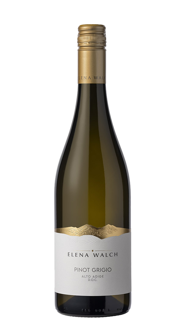 Pinot Grigio Elena Walch 2024
