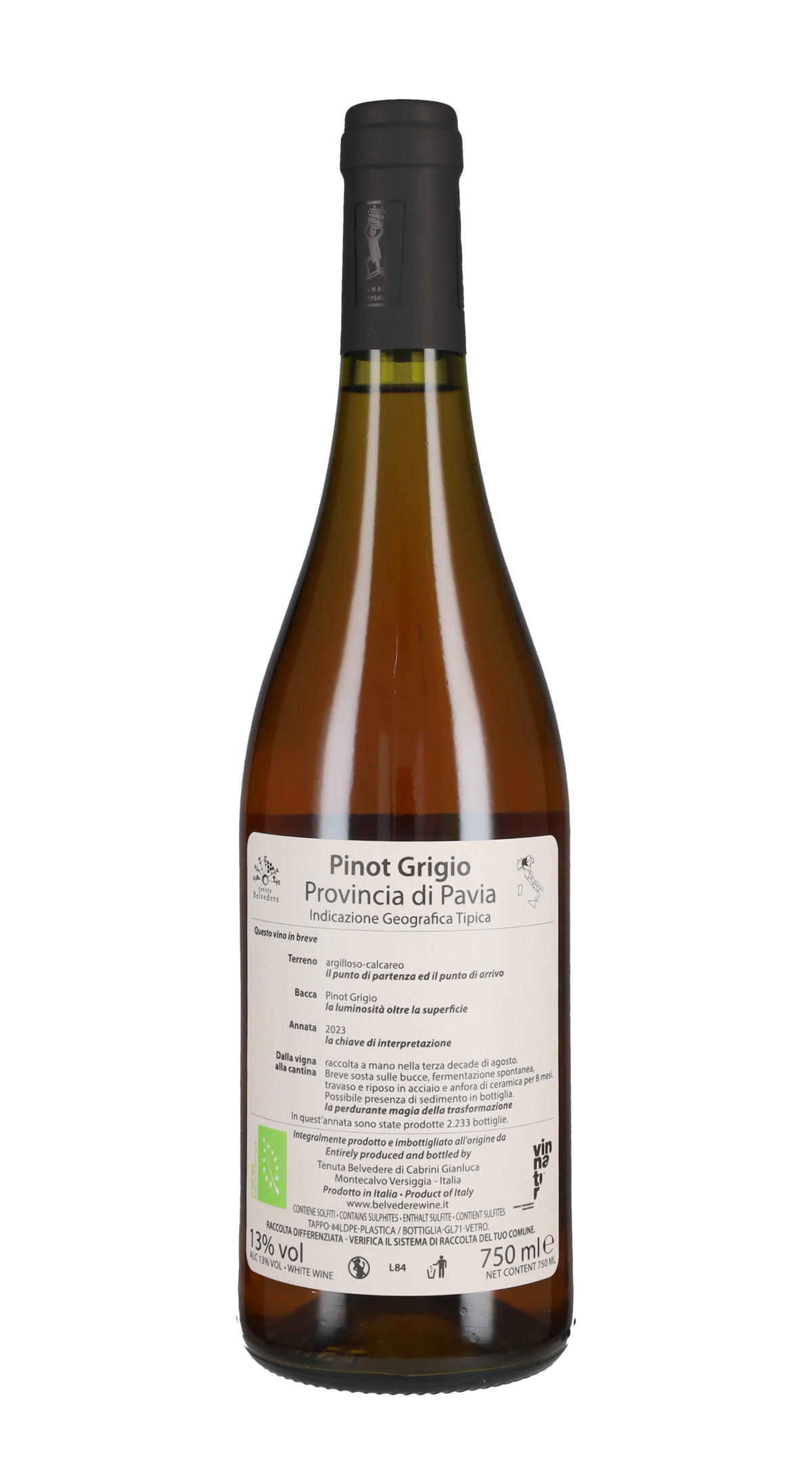 Pinot Grigio 'Una Scoperta' Tenuta Belvedere 2023