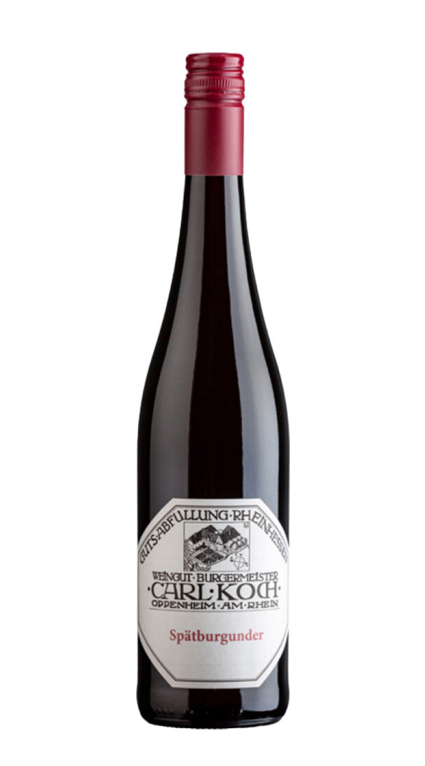 Pinot Nero Guldenmorgen Carl Koch 2020