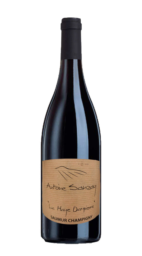 Saumur Champigny 'La Haye Dampierre' Antoine Sanzay 2018