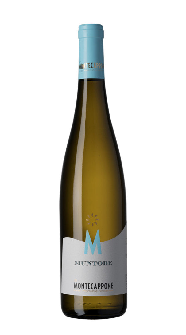 Verdicchio dei Castelli di Jesi Classico Superiore 'Muntobe' Montecappone 2018