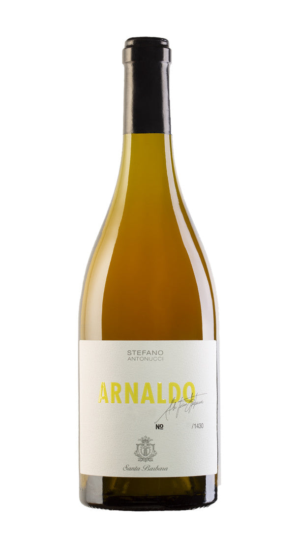 Verdicchio dei Castelli di Jesi 'Arnaldo' Santa Barbara 2019
