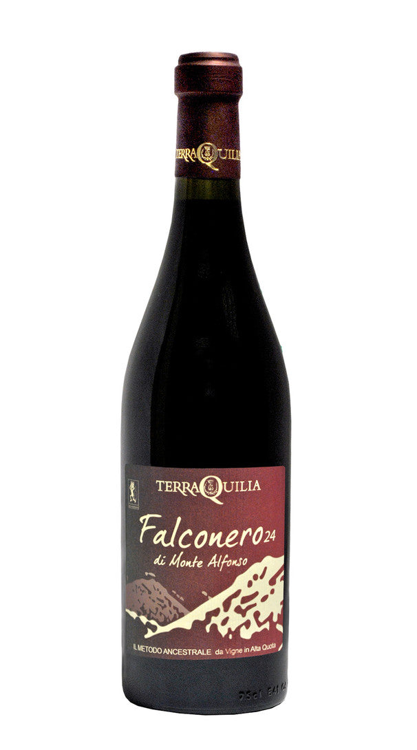 Lambrusco 'Falconero24 di Monte Alfonso' Terraquilia