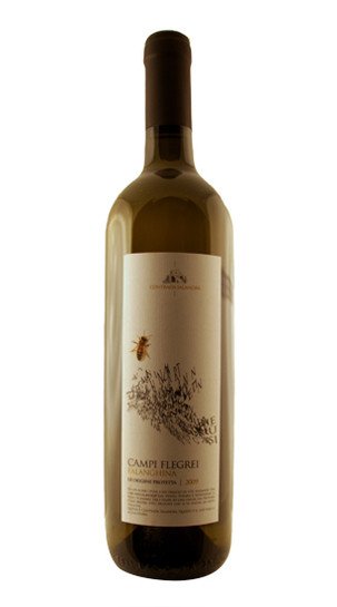 Falanghina Campi Flegrei Contrada Salandra 2018