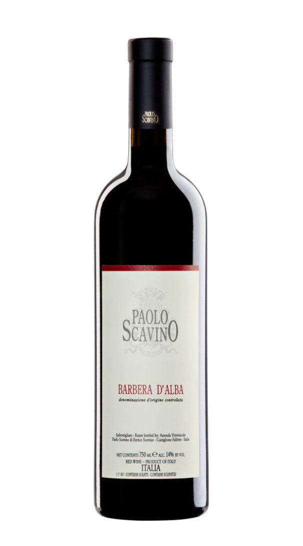 Barbera d'Alba Paolo Scavino 2021