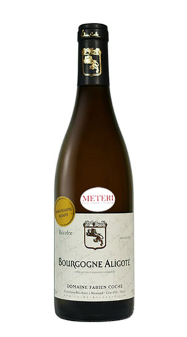 Bourgogne Aligotè Sans Soufre Fabien Coche 2020