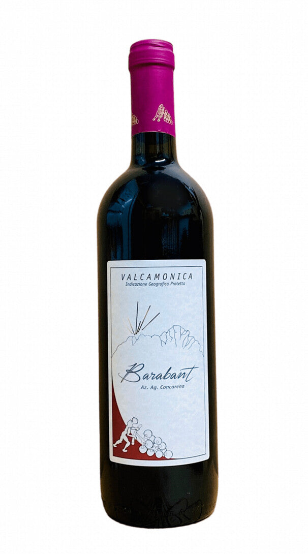 Valcamonica Rosso 'Barbant' Concarena 2016