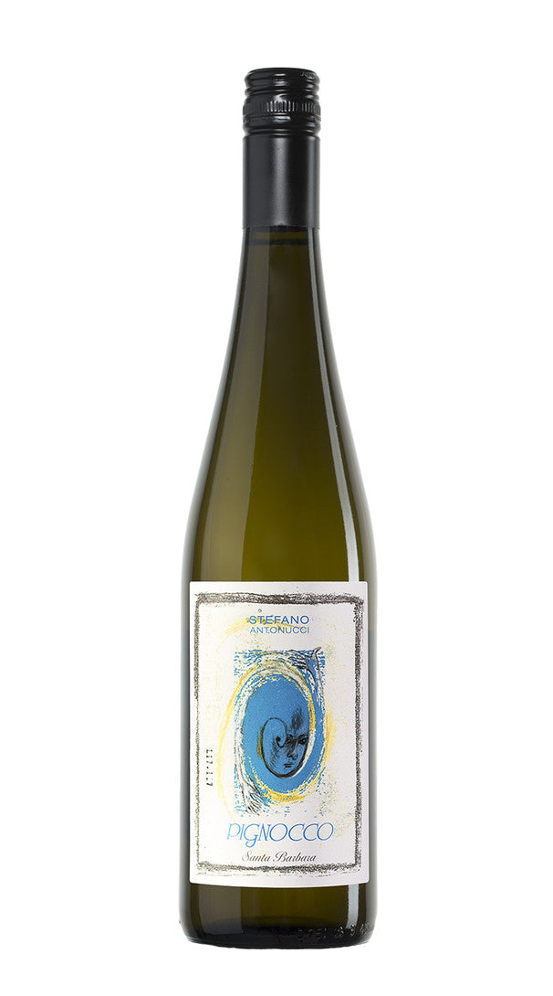 Verdicchio dei Castelli di Jesi 'Pignocco' Santa Barbara 2022