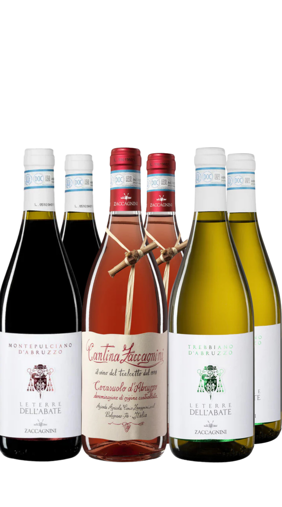 Entdeckerpaket Zaccagnini 3x2  Fl.