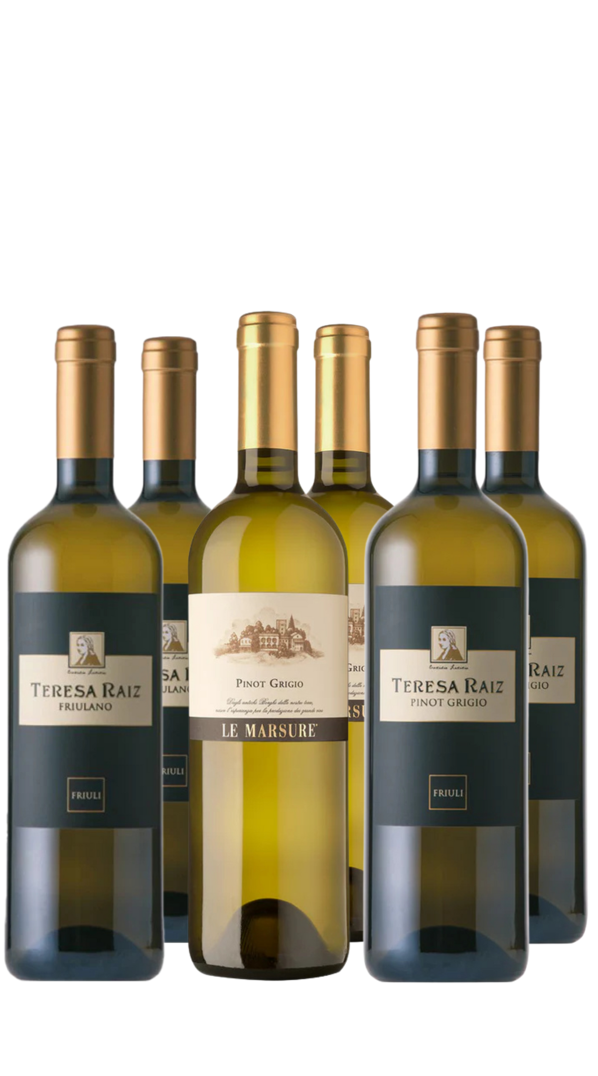 Entdeckerpaket Teresa Raiz 3x2 Fl.