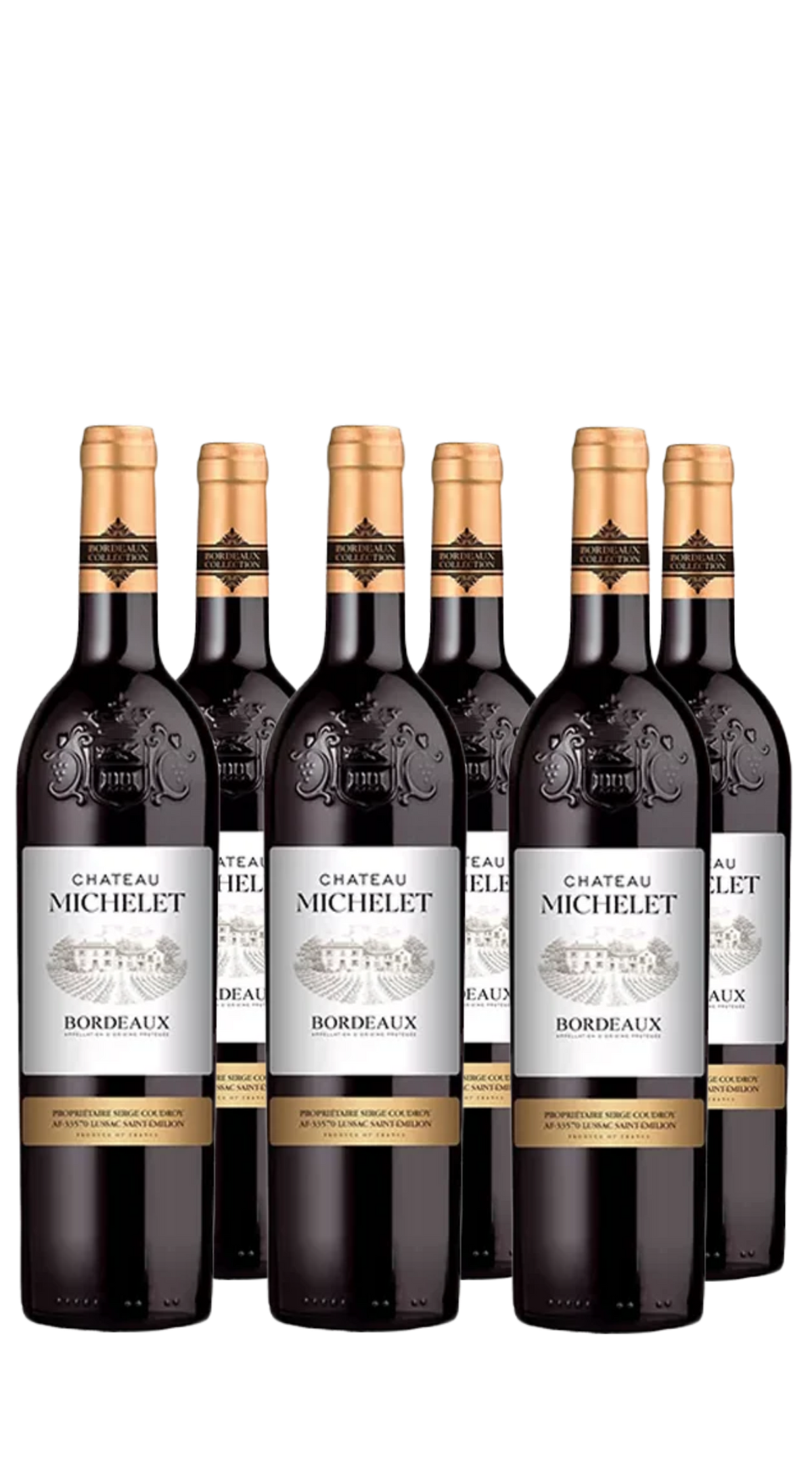 Wine Box 5+1 Bordeaux Rouge Chateau Michelet (1bt Omaggio)