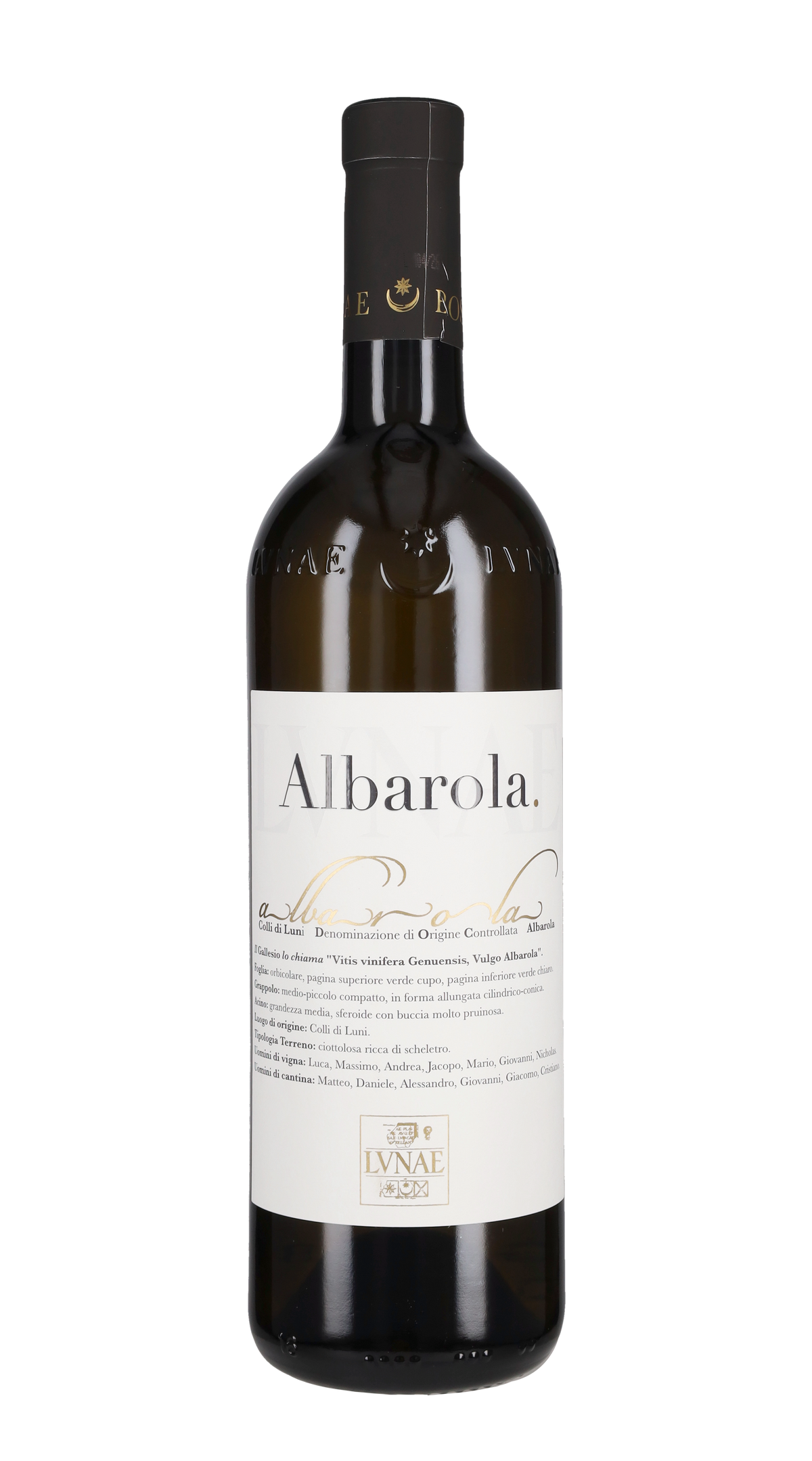 Albarola Lunae Bosoni 2025