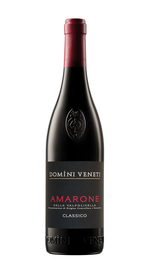 Amarone della Valpolicella Classico Domini Veneti 2015