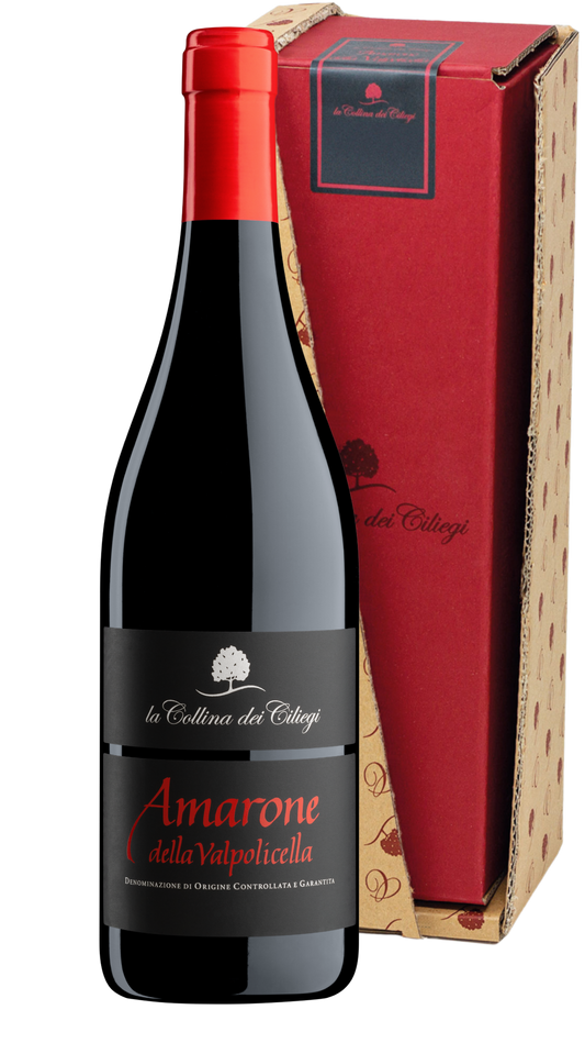 Amarone della Valpolicella Magnum Collina dei Ciliegi 2019 (Confezione)