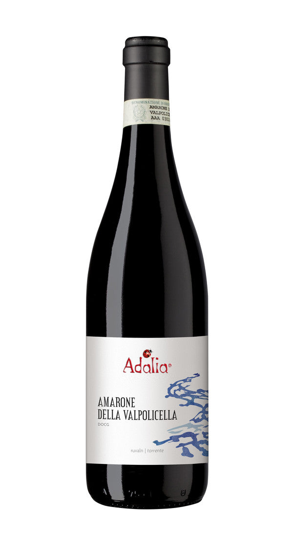 Amarone della Valpolicella 'Ruvaln' Adalia - Camerani 2016