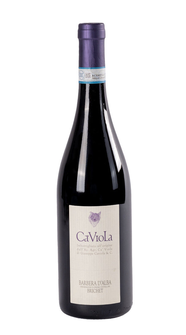 Barbera d'Alba 'Brichet' Ca' Viola 2021