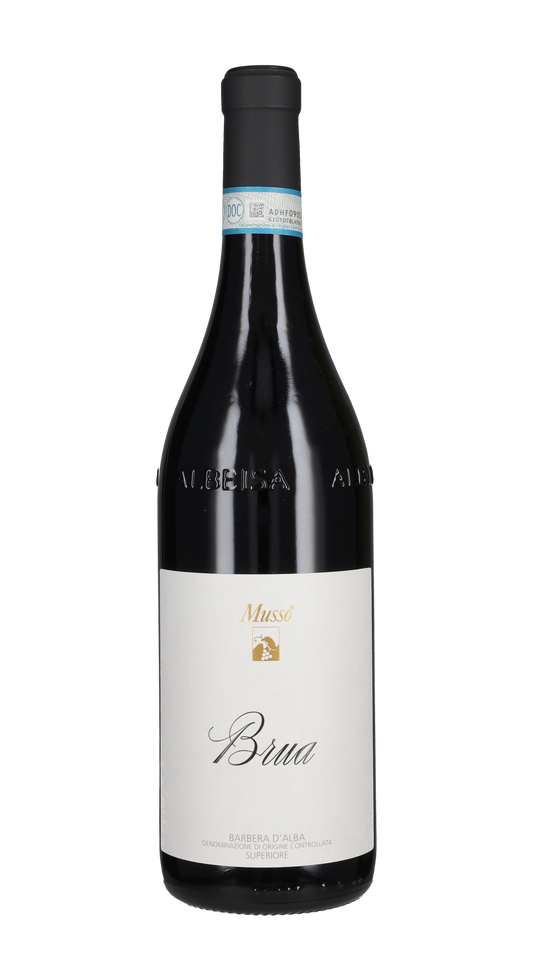 Barbera d'Alba Superiore 'Brua' Musso 2022