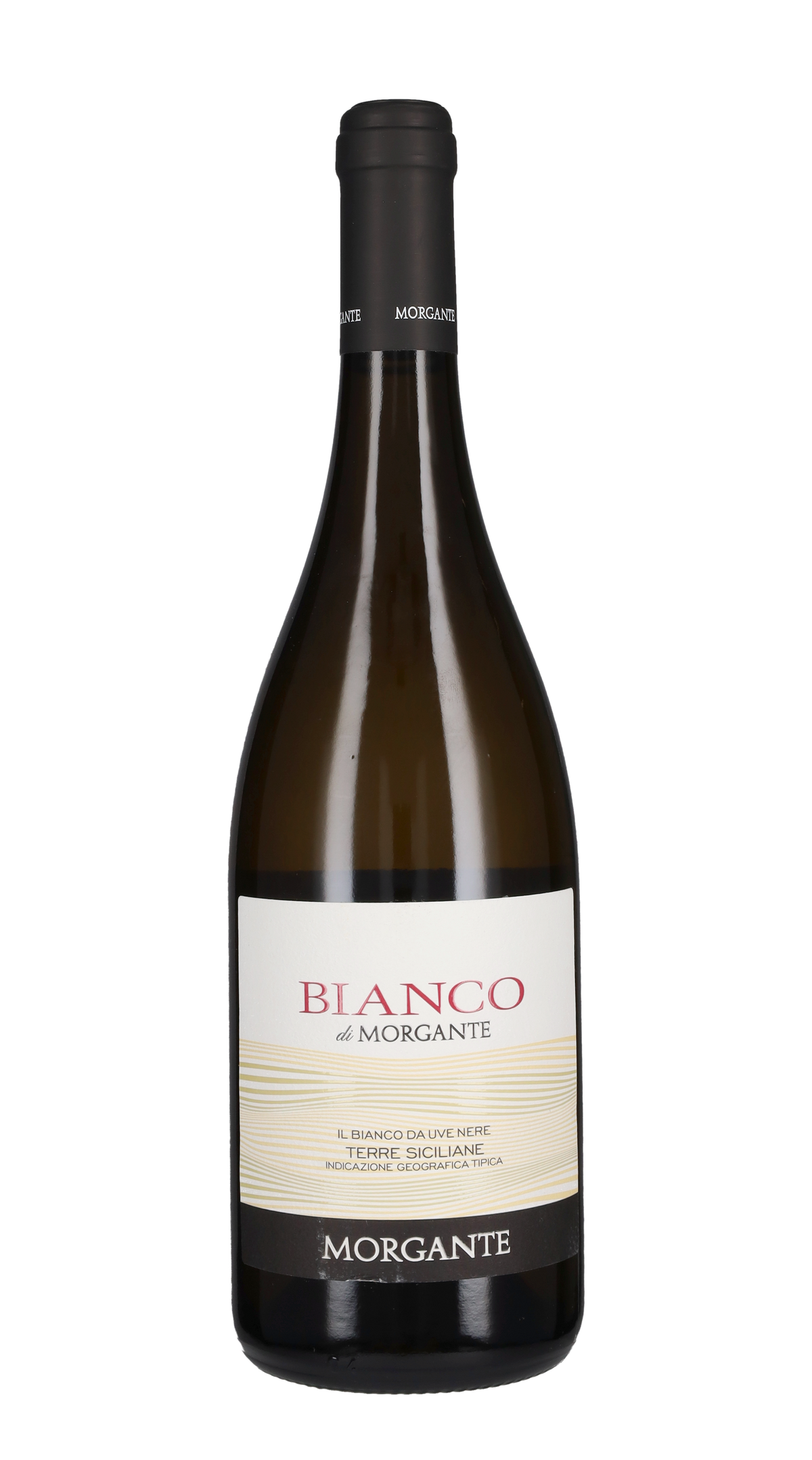 Bianco di Morgante 2024