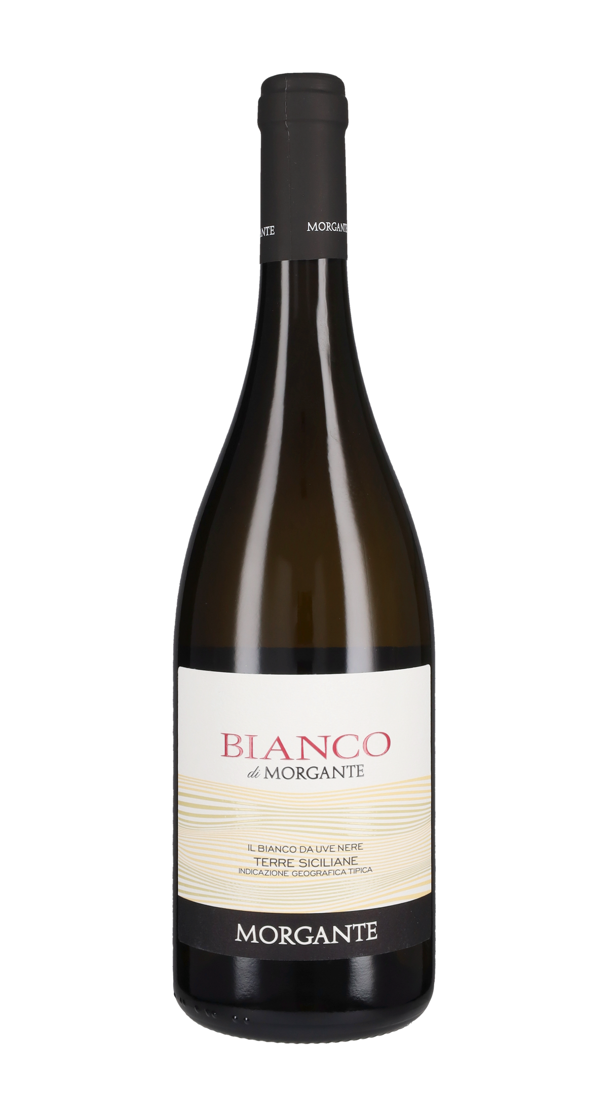 Bianco di Morgante 2025