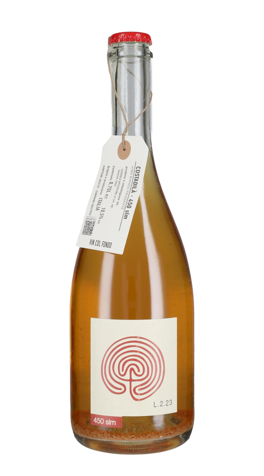 Bianco Frizzante Rifermentato in Bottiglia '450 slm' Costadilà