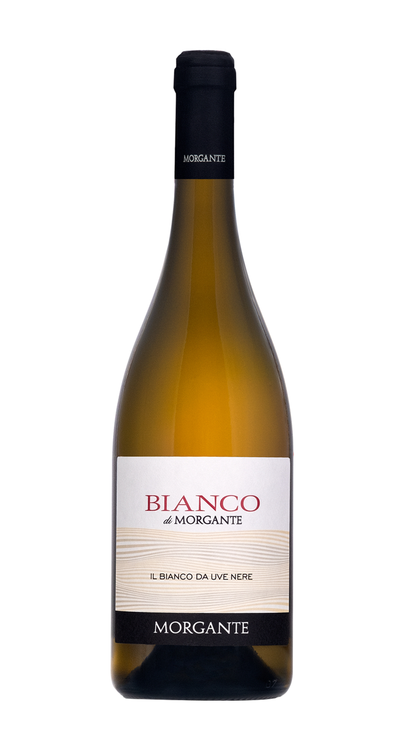 Bianco di Morgante 2023