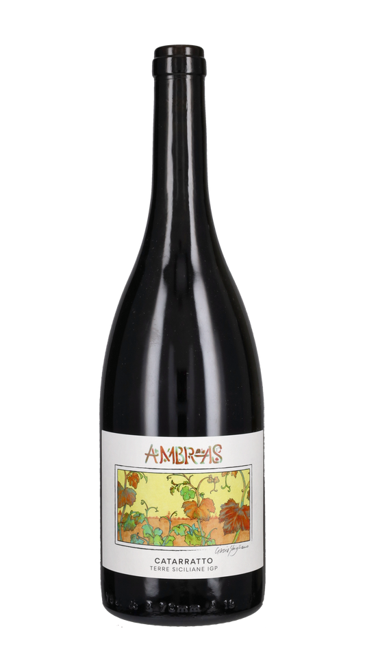 Catarratto 'Ambras' Barracco 2021