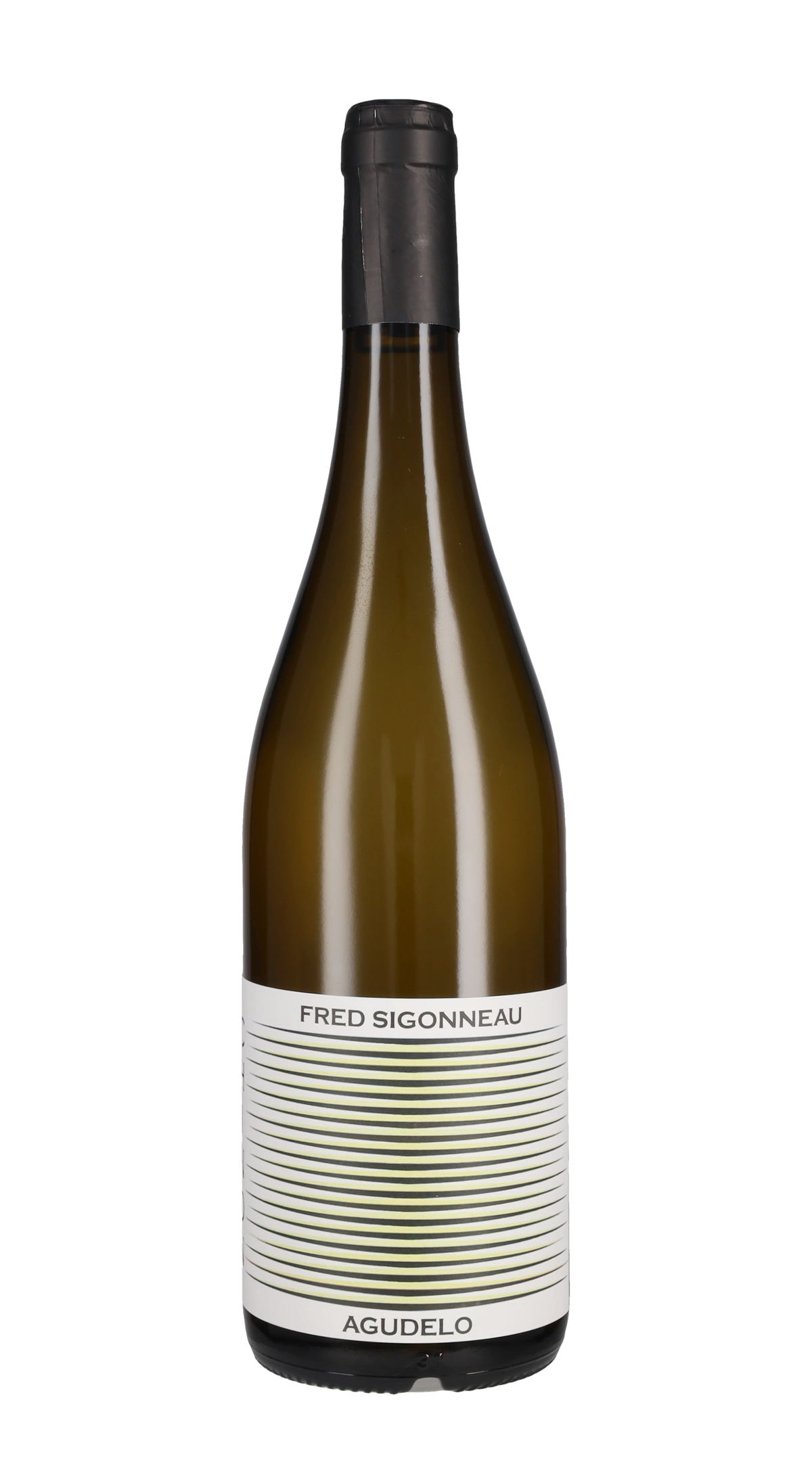 Chinon Blanc 'Agudelo' Domaine de L'R 2024