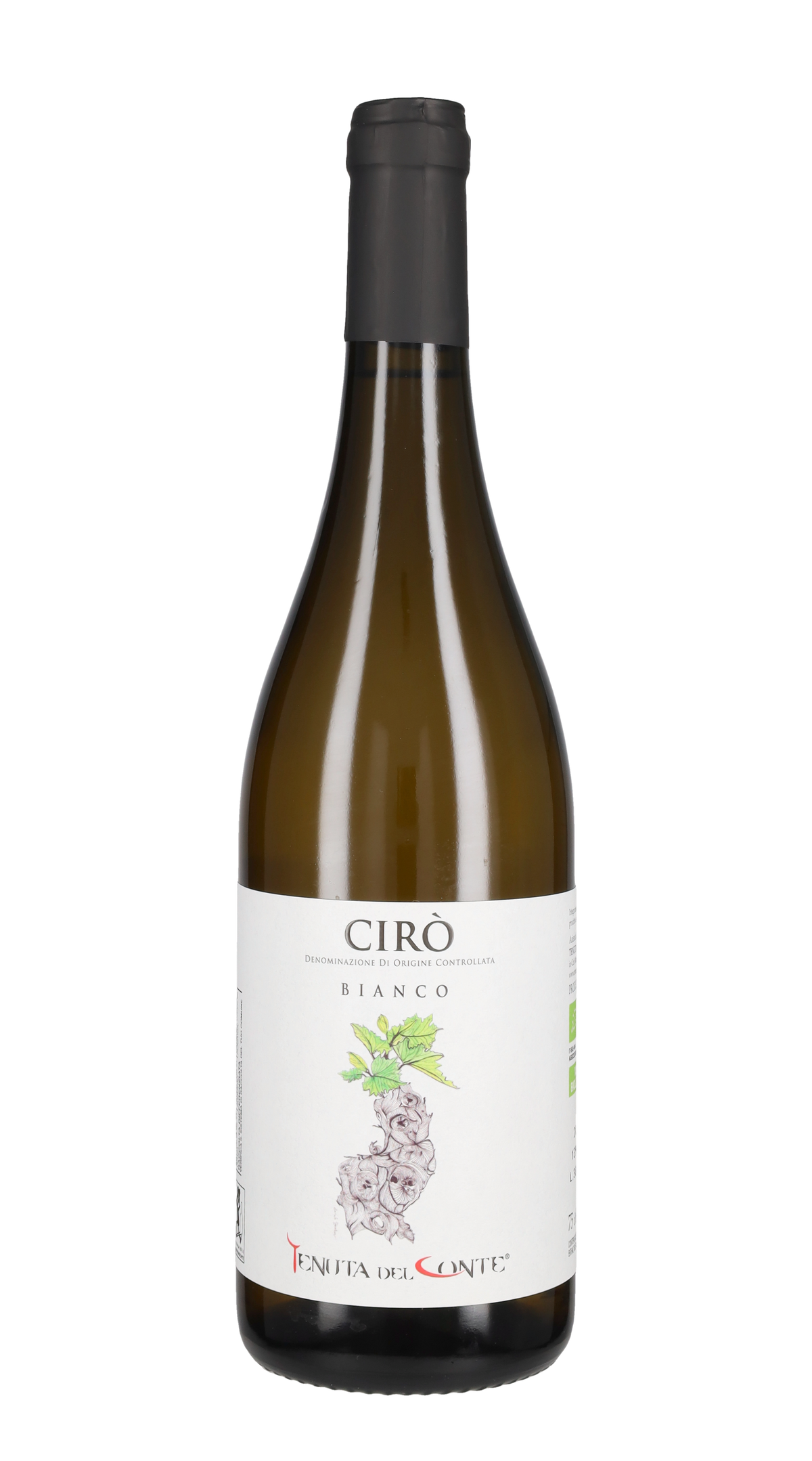 Cirò Bianco Tenuta del Conte 2023