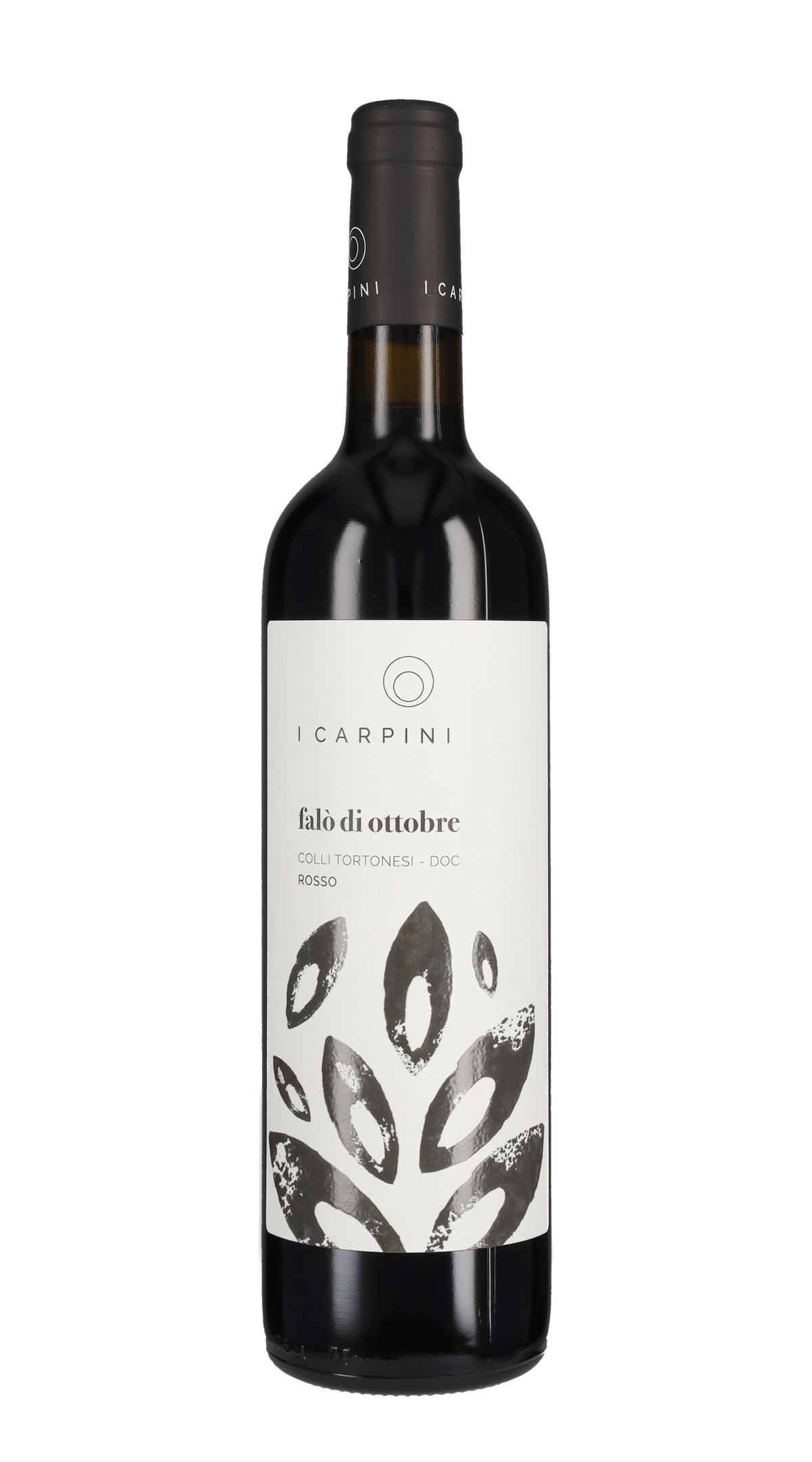 'Falò d'Ottobre' I Carpini 2019