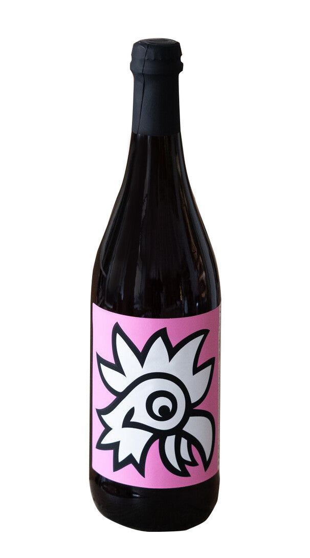 Frizzante Rosé Ancestrale Il Ceo 2022