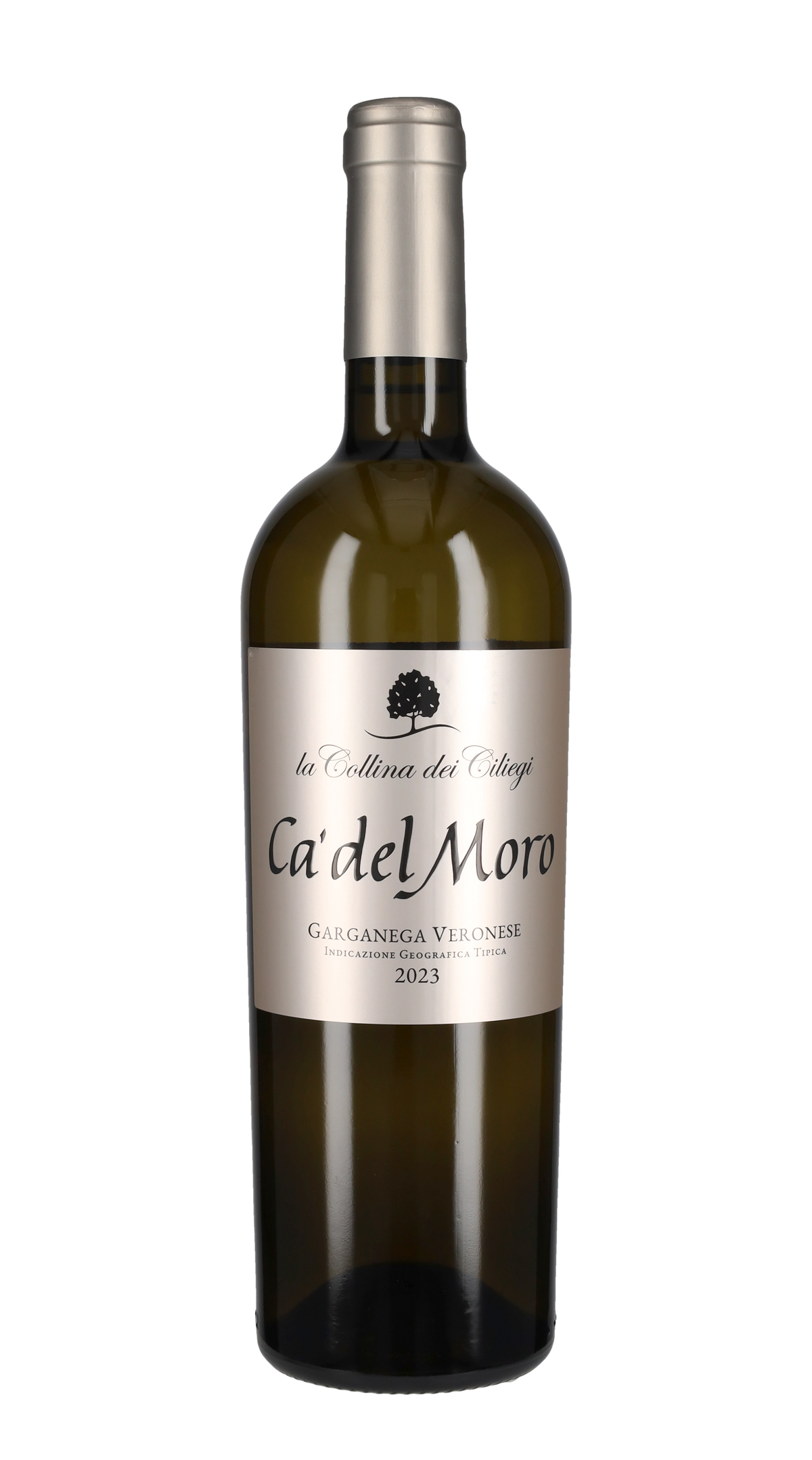 Garganega 'Cà del Moro' Collina dei Ciliegi 2023