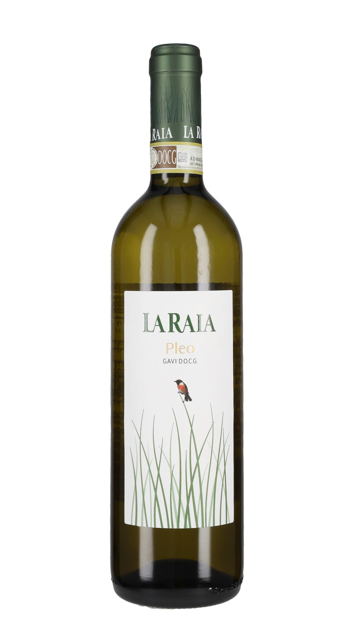 Gavi La Raia 'Pleo' 2024
