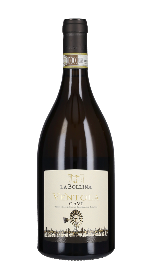 Gavi 'Ventola' La Bollina 2023
