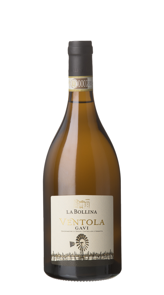 Gavi 'Ventola' La Bollina 2021