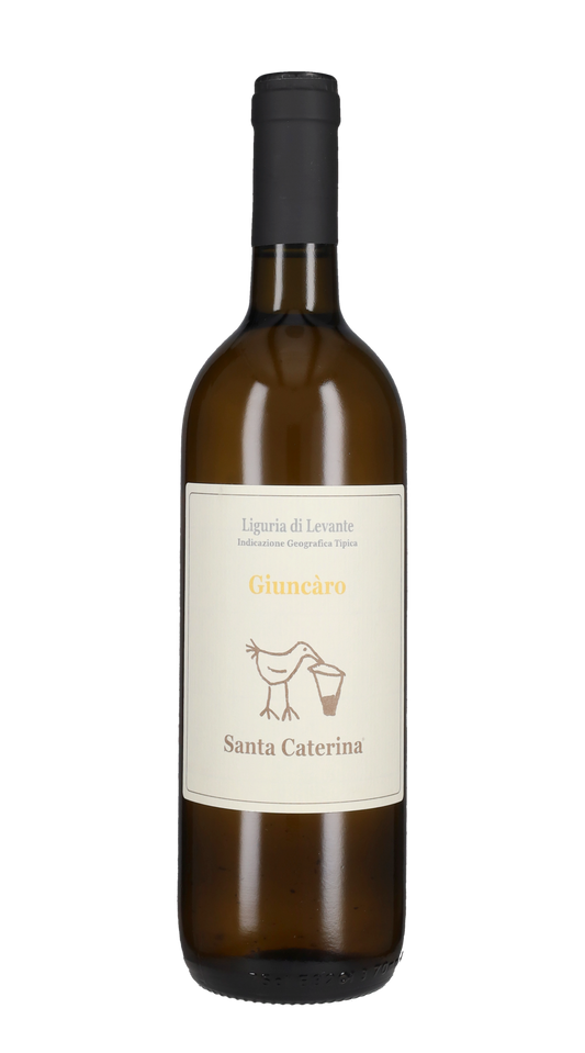 Giuncaro Bianco Santa Caterina