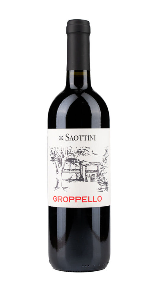 Groppello del Garda Classico Saottini 2022