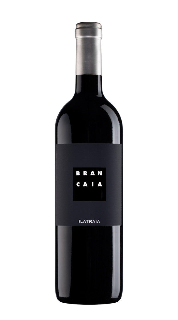 Ilatraia Brancaia 2019