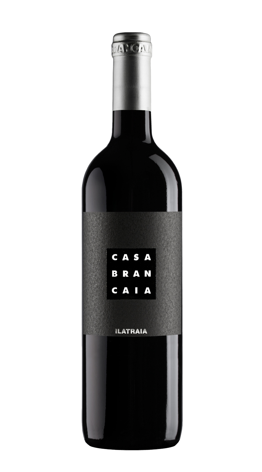 Ilatraia Brancaia 2020